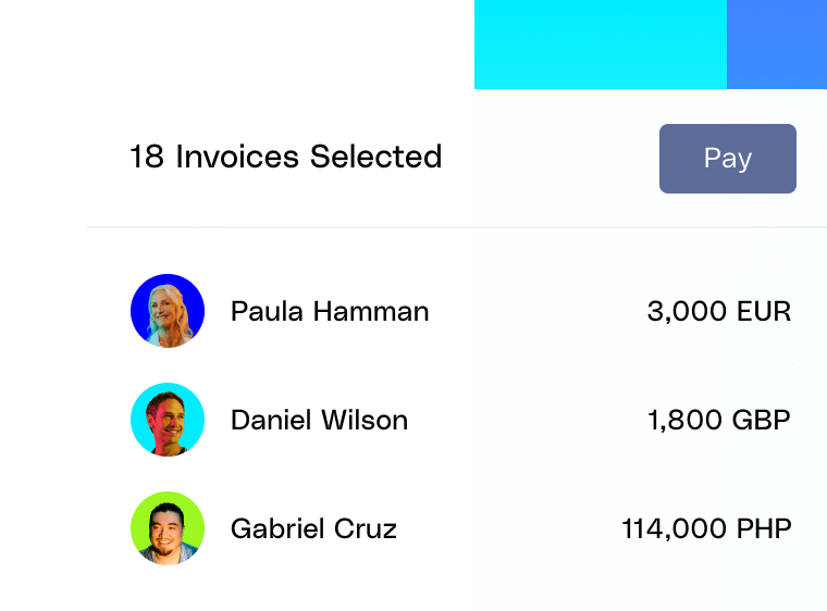 薪酬 Ppc Wise 批量付款