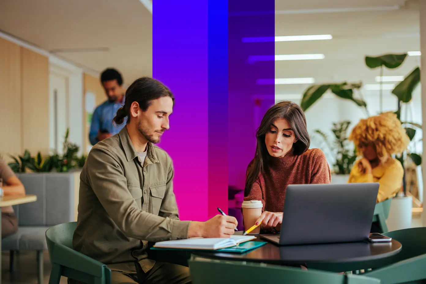 טקסט Alt לא סופק