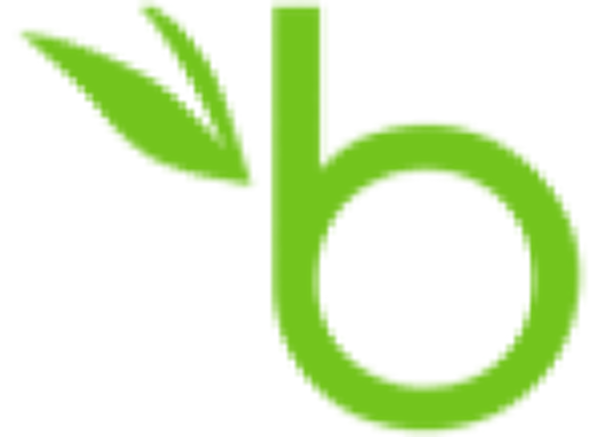 BambooHR Logo